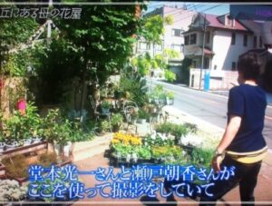 勝地涼の実家は不動産会社でお金持ち 自由が丘で花屋も経営 画像 芸能summary