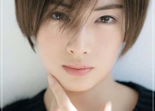 画像比較 北川景子は産後老けた 顔が変わったし太ったとの声も 芸能summary