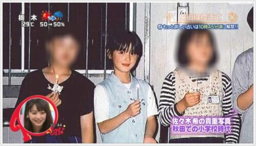 佐々木希の実家住所は秋田市飯島 学生時代は元ヤン 赤ちゃん時代や子供の頃の画像がかわいすぎる 芸能summary